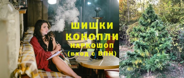крисы Баксан