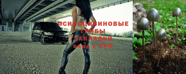 крисы Баксан