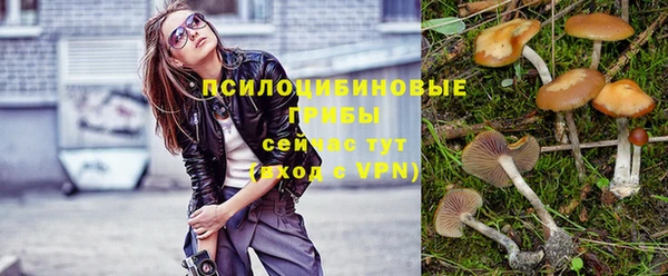 ГАЛЛЮЦИНОГЕННЫЕ ГРИБЫ Балабаново