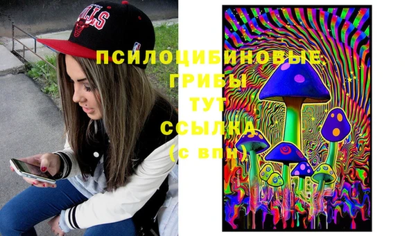 ГАЛЛЮЦИНОГЕННЫЕ ГРИБЫ Балабаново