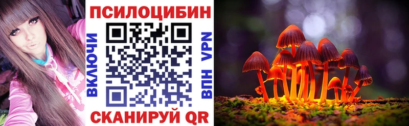 как найти   Томилино  Псилоцибиновые грибы MAGIC MUSHROOMS 
